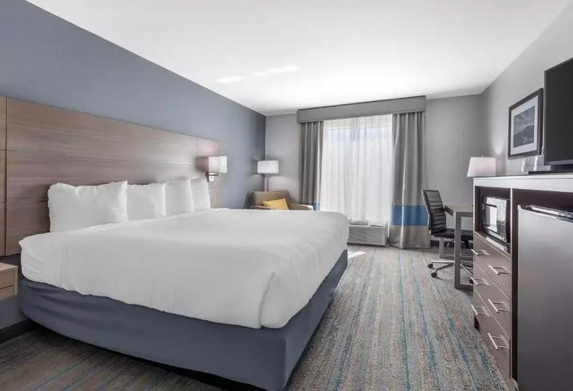 キングサイズベッドのスタンダードルーム, Best Western Plus Stephenville Inn