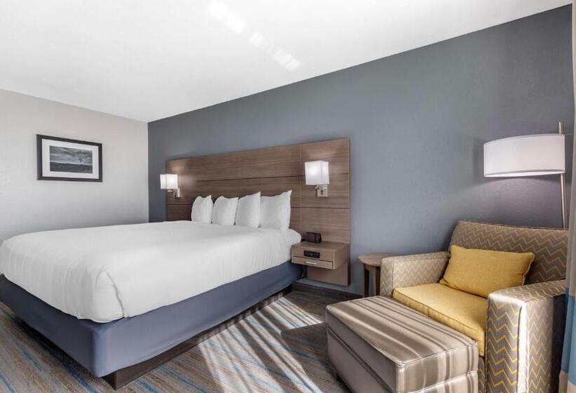 מיטת קינג בסוויטה, Best Western Plus Stephenville Inn