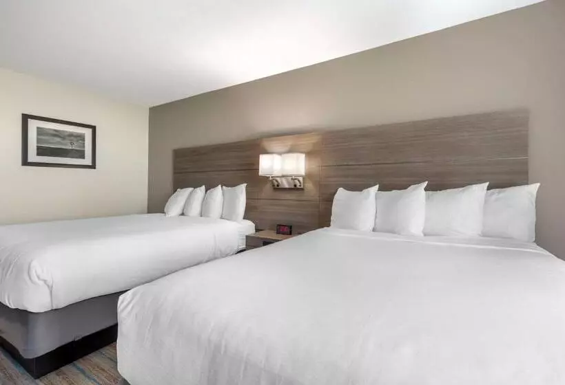 身障者適用スタンダードルーム, Best Western Plus Stephenville Inn