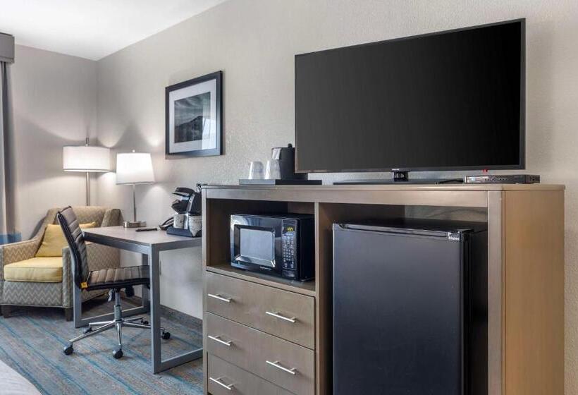 חדר סטנדרט מותאם לאדם עם מוגבלויות, Best Western Plus Stephenville Inn