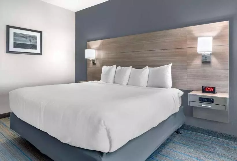 身障者適用キングサイズベッドルーム, Best Western Plus Stephenville Inn