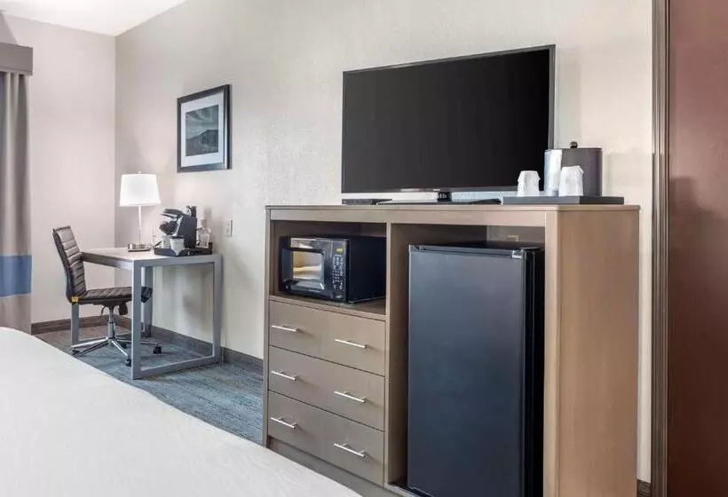 身障者適用キングサイズベッドルーム, Best Western Plus Stephenville Inn