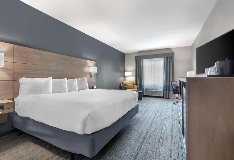 Номер Стандарт Кровать Кинг Адаптированный для Инвалидов, Best Western Plus Stephenville Inn