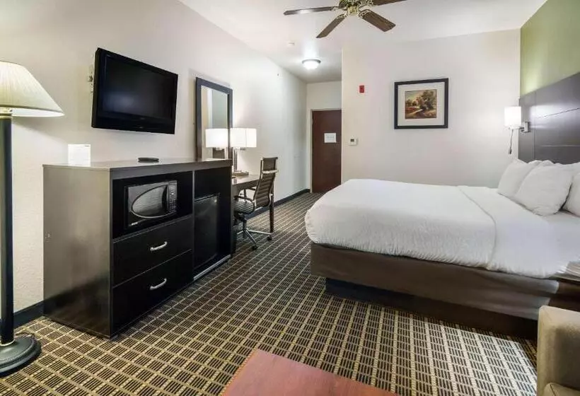 キングサイズベッドのスタンダードルーム, Clarion Inn & Suites Weatherford South