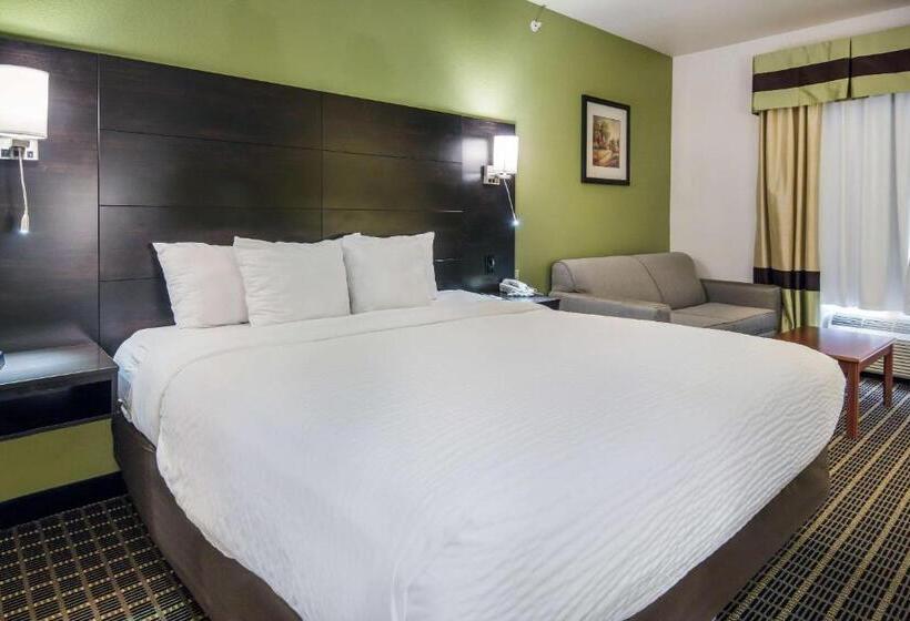 غرفة قياسية سرير كينج, Clarion Inn & Suites Weatherford South