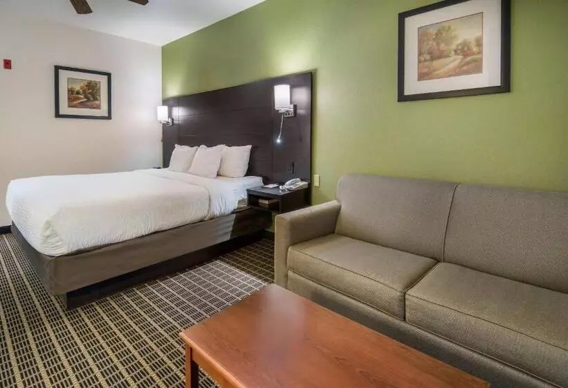 キングサイズベッドのスタンダードルーム, Clarion Inn & Suites Weatherford South