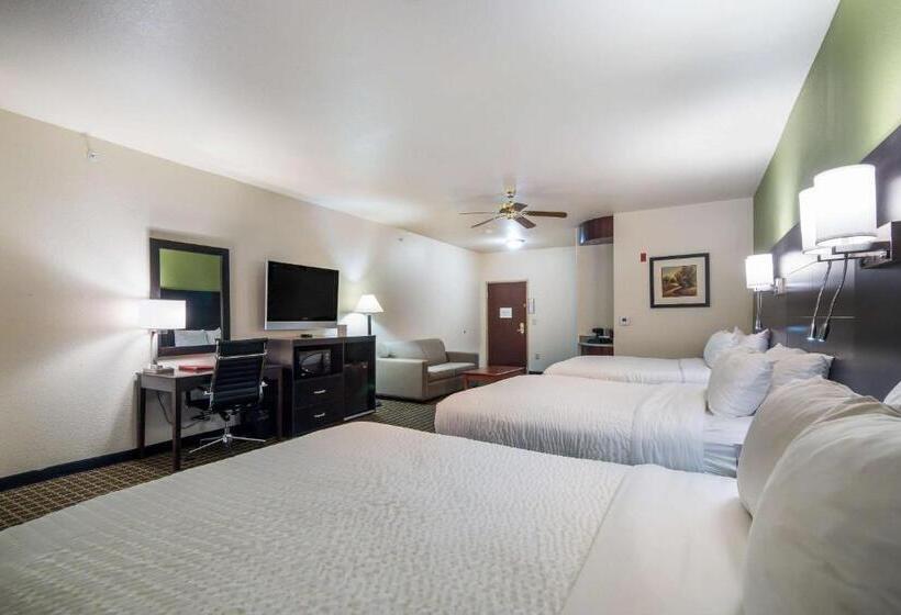 스위트, Clarion Inn & Suites Weatherford South