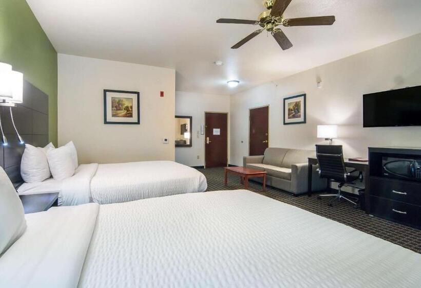 장애인을 위한 스위트, Clarion Inn & Suites Weatherford South