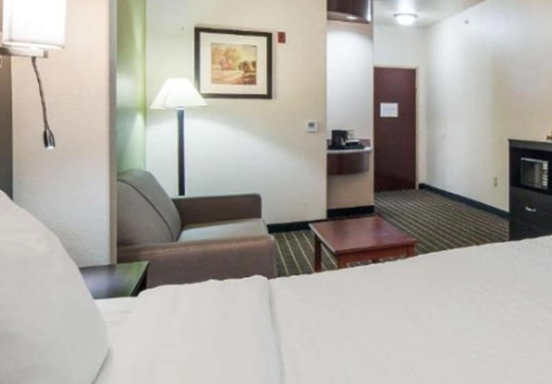 스위트, Clarion Inn & Suites Weatherford South