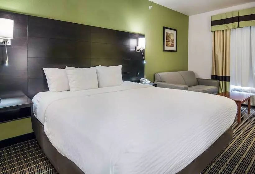 スイート, Clarion Inn & Suites Weatherford South