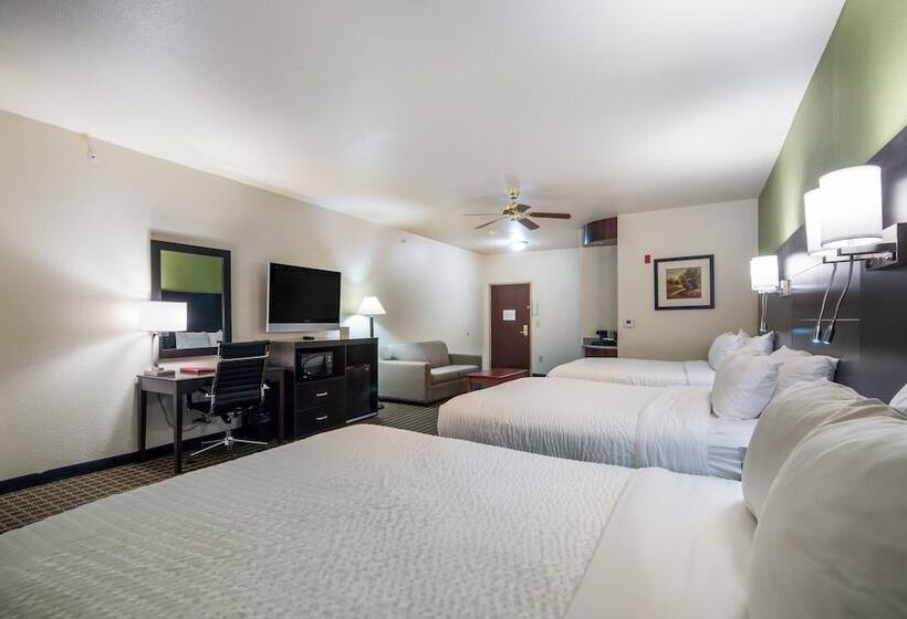 جناح, Clarion Inn & Suites Weatherford South