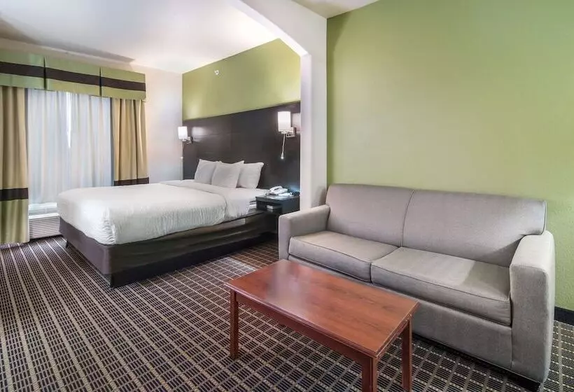 身障者適用スイートルーム, Clarion Inn & Suites Weatherford South