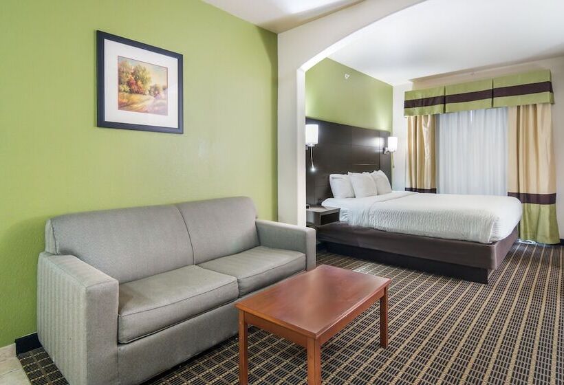 장애인을 위한 스위트, Clarion Inn & Suites Weatherford South
