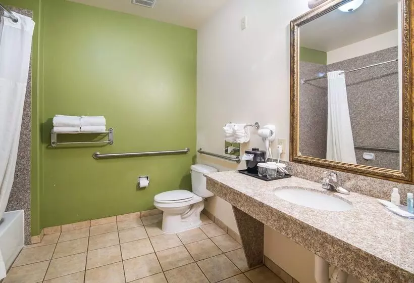 身障者適用スイートルーム, Clarion Inn & Suites Weatherford South