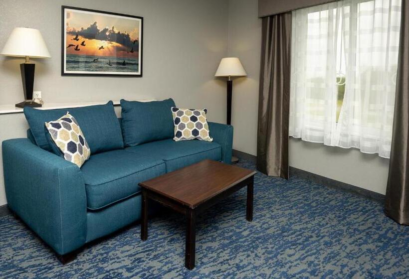 Люкс, Comfort Suites Seabrook - Kemah
