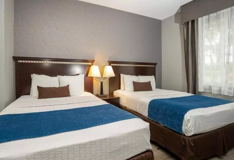 スタンダード４人部屋, Comfort Suites Seabrook - Kemah