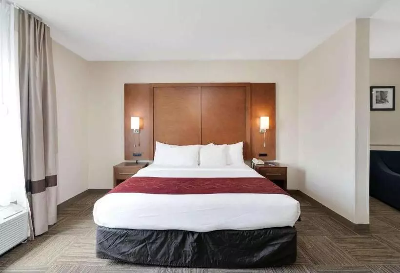 身障者適用スイートルーム, Comfort Suites University