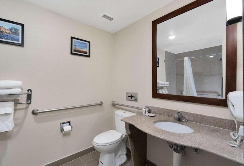 سوئیت برای معلولان, Comfort Suites University