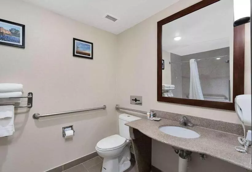 身障者適用スイートルーム, Comfort Suites University