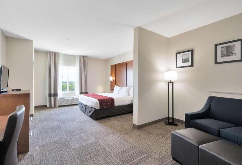 جناح لذوى الاحتياجات الخاصة, Comfort Suites University