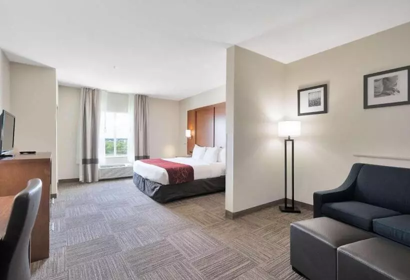 身障者適用スイートルーム, Comfort Suites University