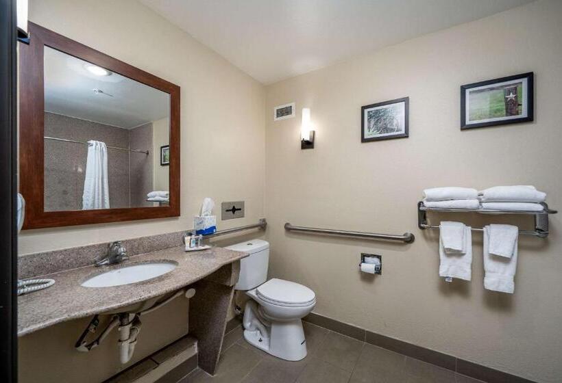 سوئیت برای معلولان, Comfort Suites University