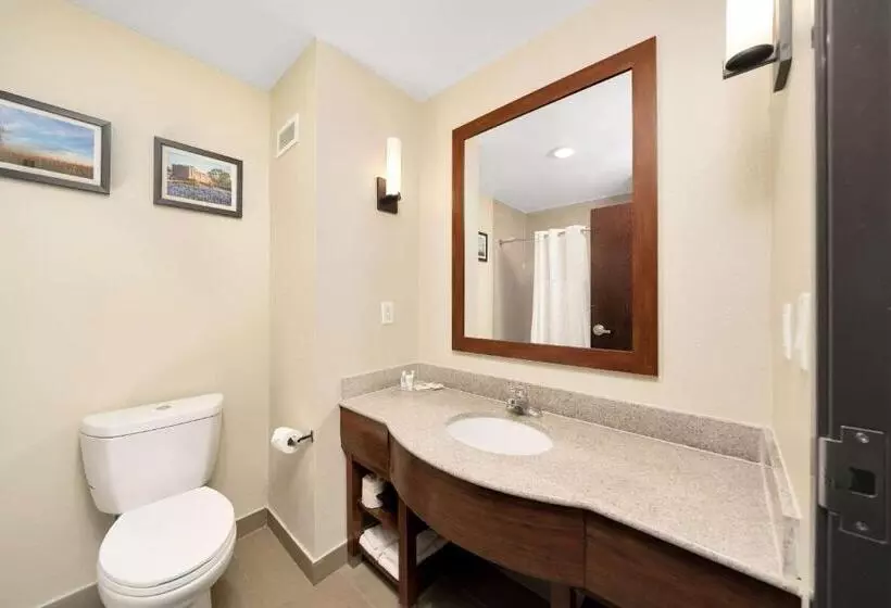 キングサイズベッドのスイートルーム, Comfort Suites University