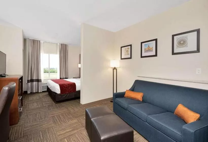 キングサイズベッドのスイートルーム, Comfort Suites University