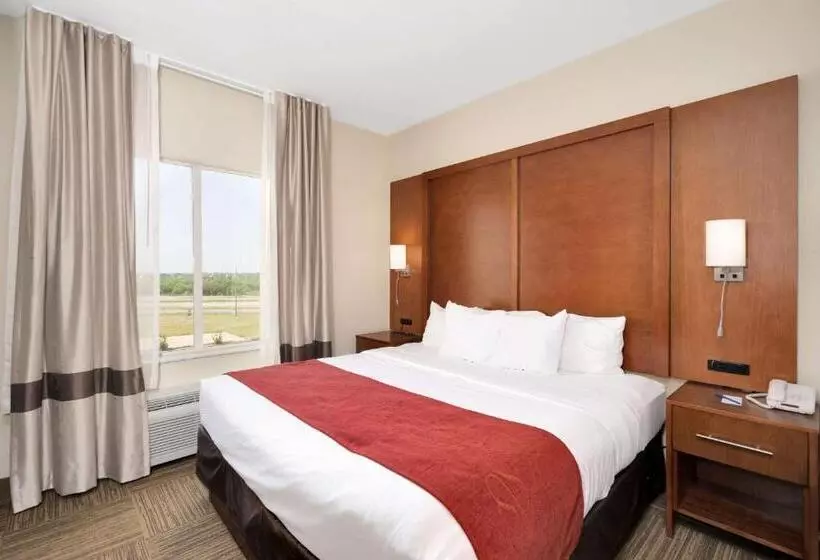 キングサイズベッドのスイートルーム, Comfort Suites University