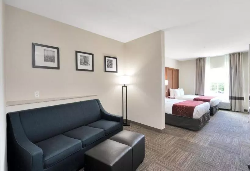 スイート, Comfort Suites University