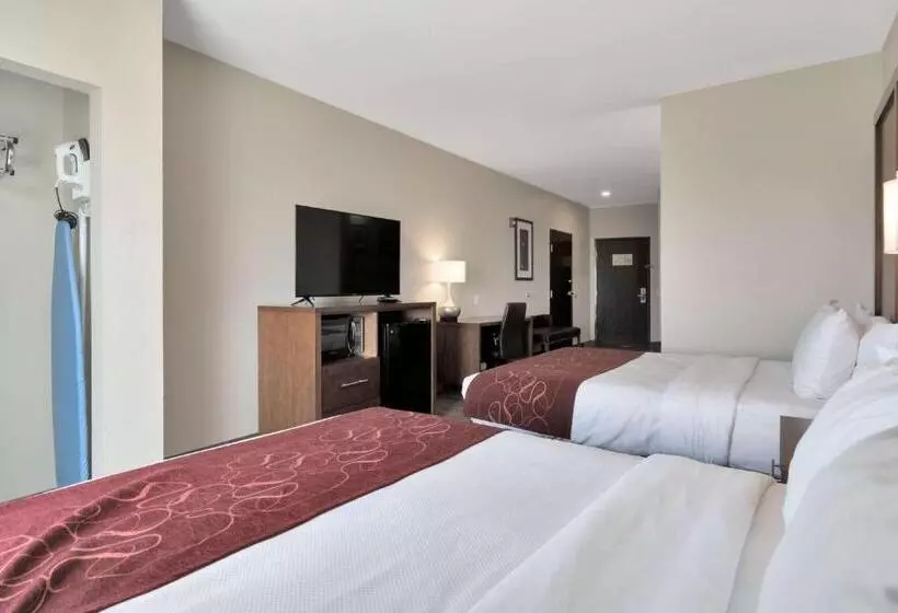 スイート, Comfort Suites University