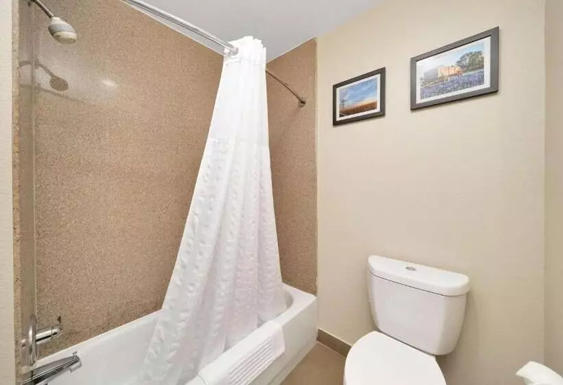 スイート, Comfort Suites University