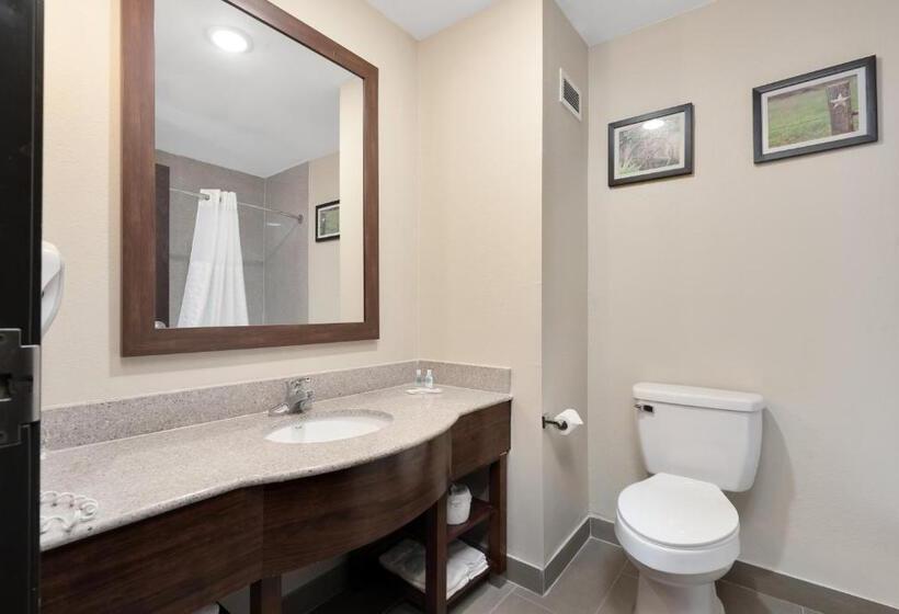سوییت, Comfort Suites University