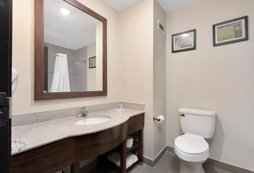 スイート, Comfort Suites University