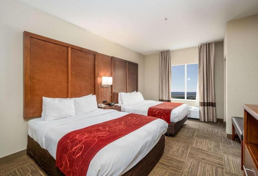 جناح لذوى الاحتياجات الخاصة, Comfort Suites University