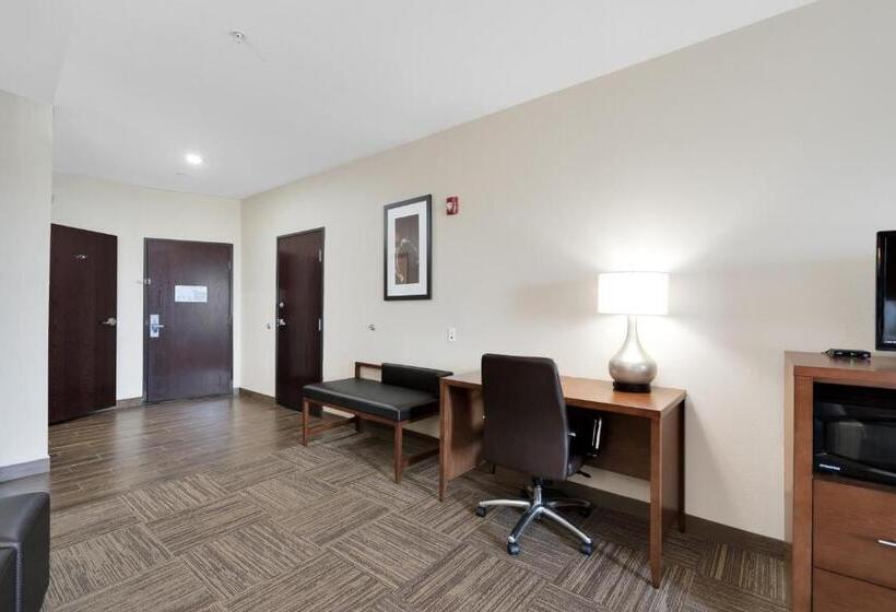 سوئیت برای معلولان, Comfort Suites University