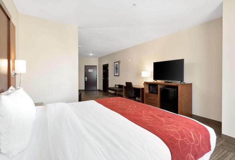 جناح لذوى الاحتياجات الخاصة, Comfort Suites University