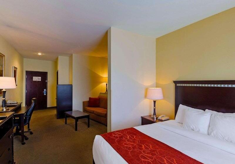 جناح سرير كينج, Comfort Suites University