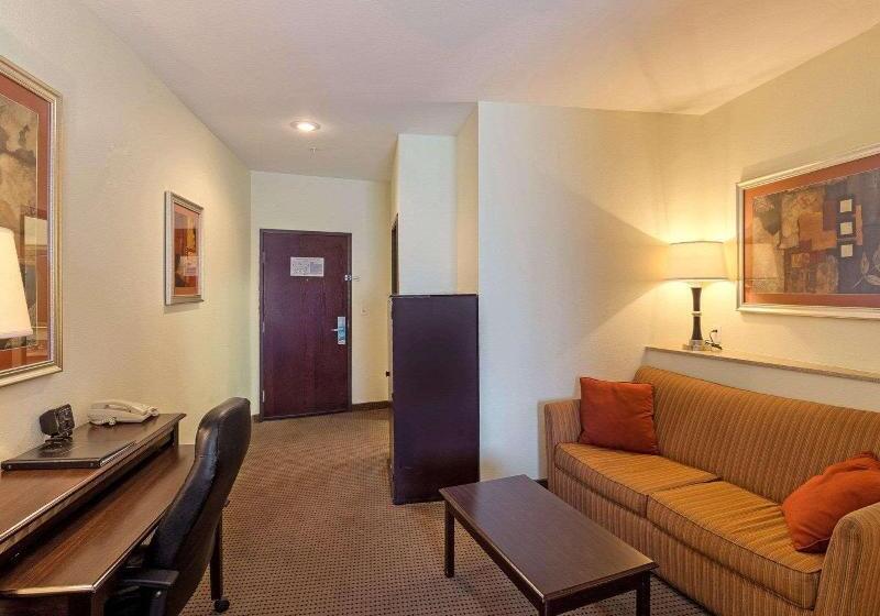 سوئیت با تخت بزرگ, Comfort Suites University