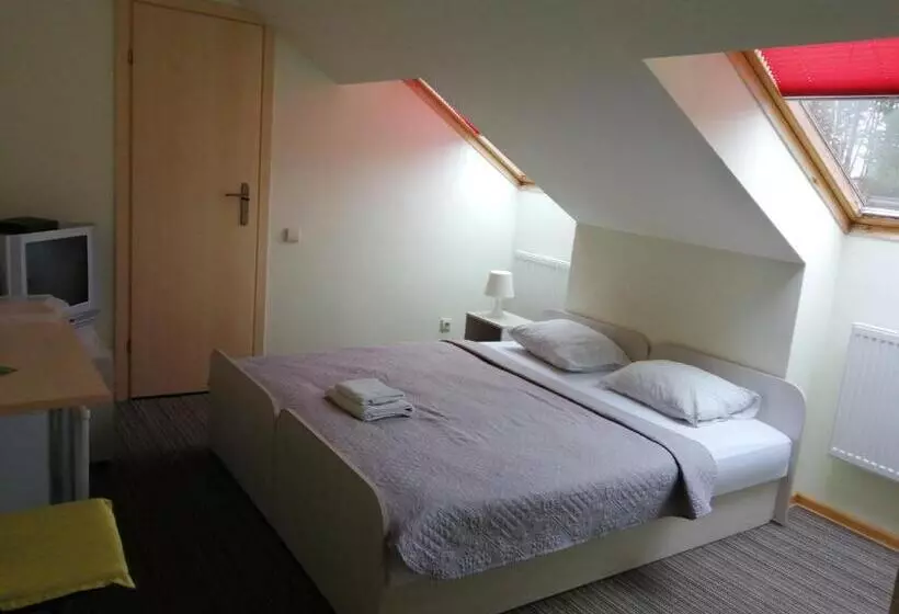 اتاق اکونومی یک تخته, Idilė Bed & Breakfast   Visaginas