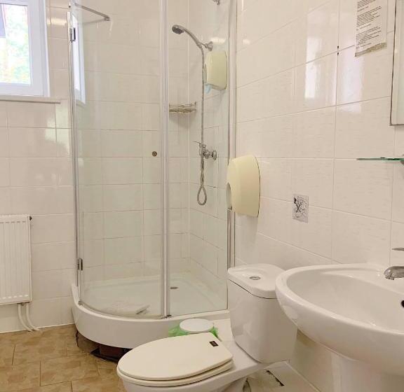 اتاق استاندارد, Idilė Bed & Breakfast   Visaginas