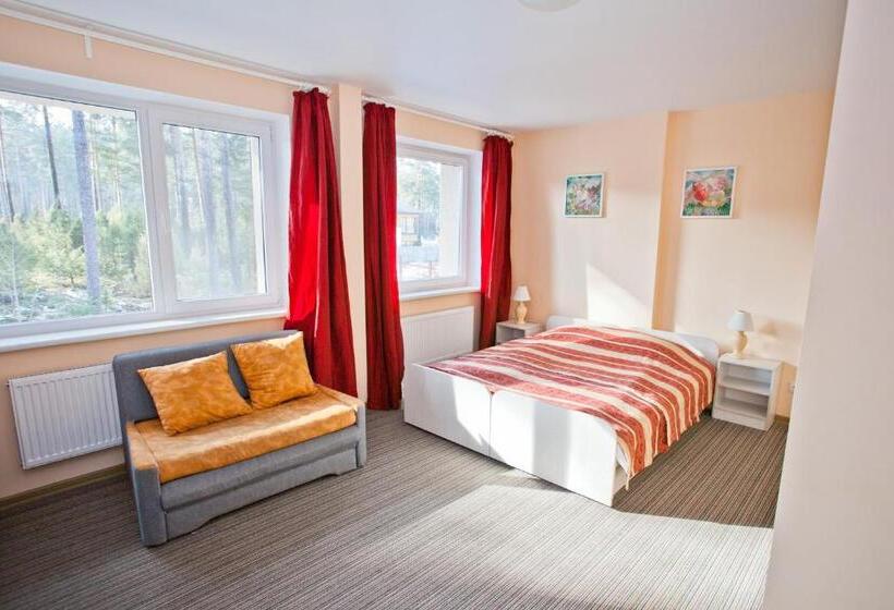 اتاق استاندارد, Idilė Bed & Breakfast   Visaginas