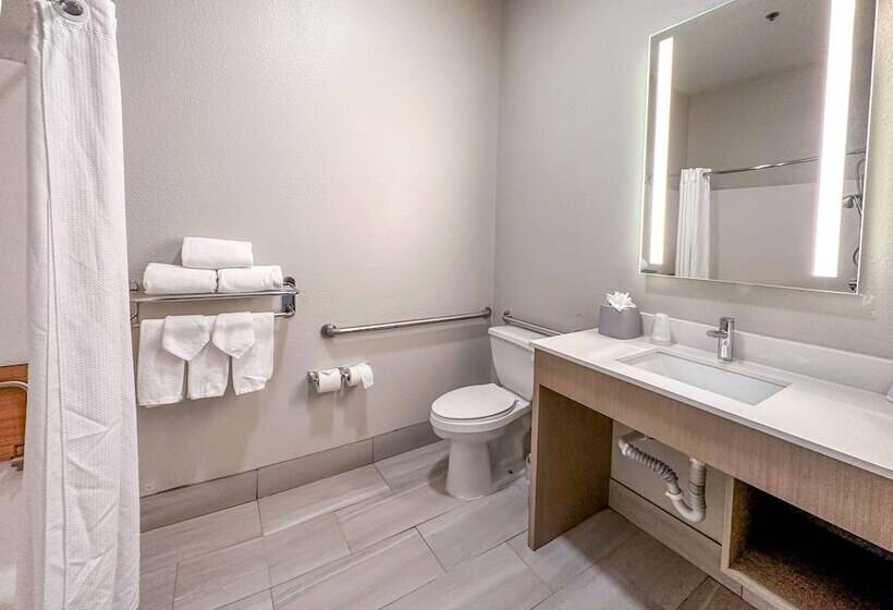 Номер Стандарт, Holiday Inn Express Hotel & Suites Ennis, An Ihg