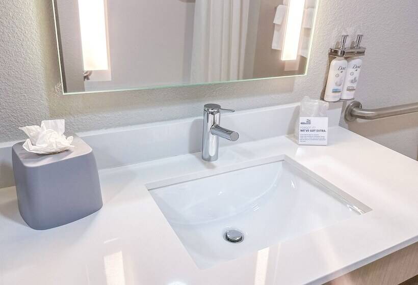 Номер Стандарт, Holiday Inn Express Hotel & Suites Ennis, An Ihg