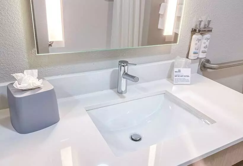 スイート, Holiday Inn Express Hotel & Suites Ennis, An Ihg