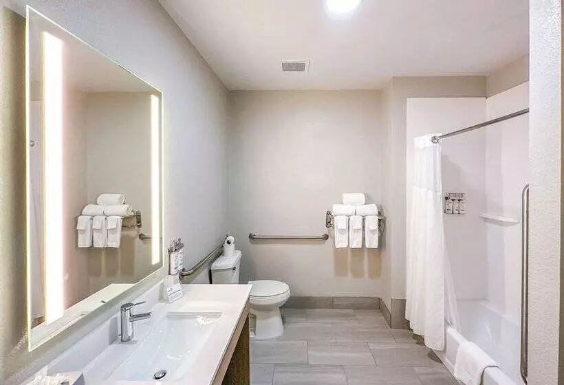 スイート, Holiday Inn Express Hotel & Suites Ennis, An Ihg