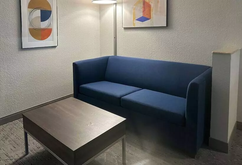 スイート, Holiday Inn Express Hotel & Suites Ennis, An Ihg