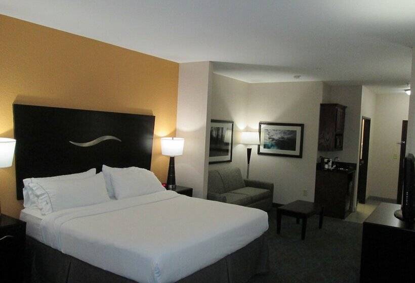 סוויטה מותאמת לאדם עם מוגבלויות, Holiday Inn Express Hotel And Suites Fort Stockton, An Ihg