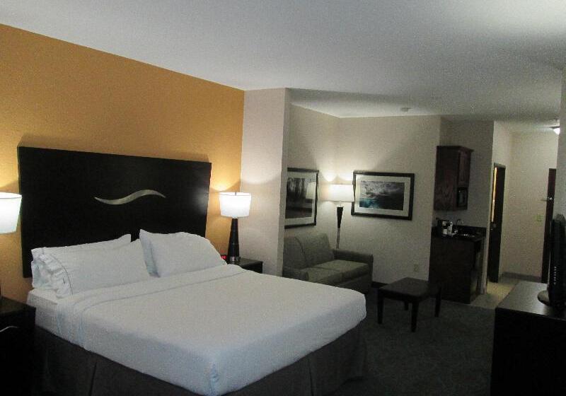 מיטת קינג בסוויטה, Holiday Inn Express Hotel And Suites Fort Stockton, An Ihg