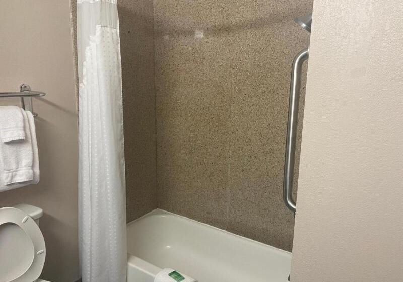 סוויטה מותאמת לאדם עם מוגבלויות, Holiday Inn Express Hotel And Suites Fort Stockton, An Ihg